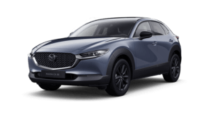 Mazda CX-30 2.0L Skyactiv -g 122cv Hybrid Executive in noleggio lungo termine